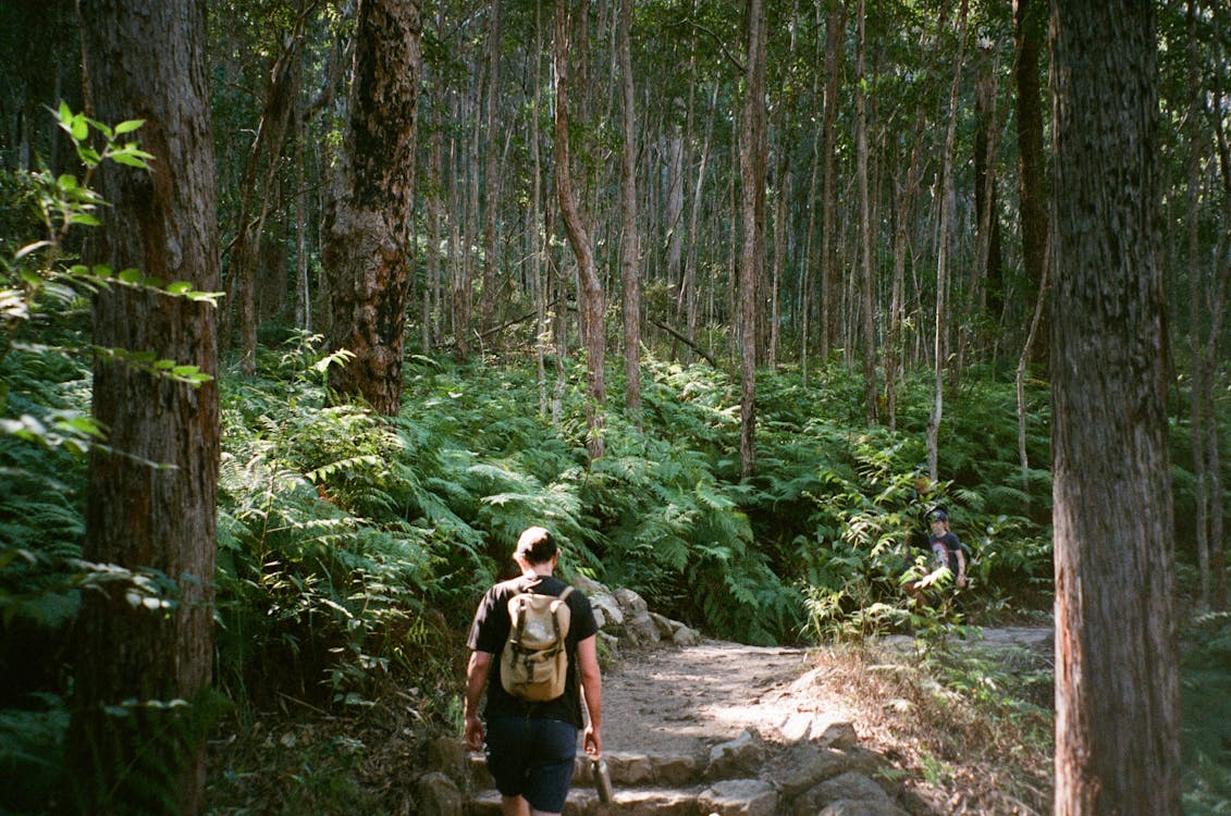 Person walking on outdoor trail surrounded by nature